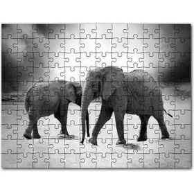 Cakapuzzle Savanada İki Fil ve Bulutlu Gökyüzü Monokrom Mdf 255 Parça Puzzle