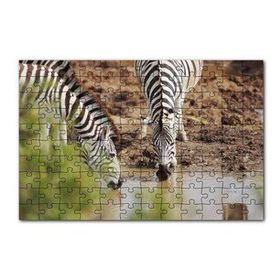 Cakapuzzle Savanada Su İçen Zebralar 120 Parça Ahşap Puzzle