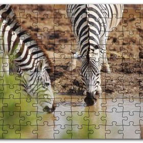 Cakapuzzle Savanada Su İçen Zebralar Mdf 255 Parça Puzzle