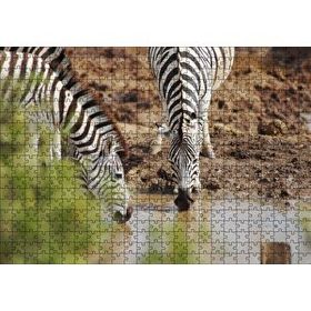Cakapuzzle Savanada Su İçen Zebralar Mdf 500 Parça Puzzle