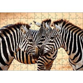 Cakapuzzle Savanada Üç Kafadar Zebra Yakın Plan 120 Parça Ahşap Puzzle