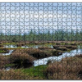 Cakapuzzle Sazlıklar ve Su Kenarında Otlar Mdf 500 Parça Puzzle