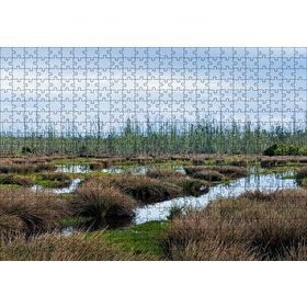 Cakapuzzle Sazlıklar ve Su Kenarında Otlar Mdf 500 Parça Puzzle