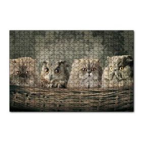 Cakapuzzle Sepetin İçinde Üç Kedi ve Bir Baykuş 120 Parça Ahşap Puzzle