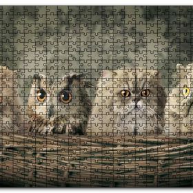Cakapuzzle Sepetin İçinde Üç Kedi ve Bir Baykuş Mdf 1000 Parça Puzzle