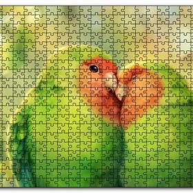 Cakapuzzle Sevda Kuşları Mdf 500 Parça Puzzle
