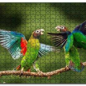 Cakapuzzle Sevda Papağanları Mdf 1000 Parça Puzzle
