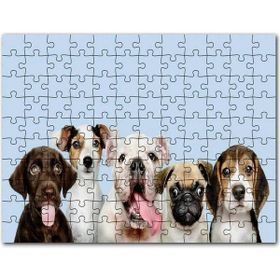 Cakapuzzle Sevimli 5 Köpek Portre Gökyüzü Arkaplan 1000 Parça Puzzle