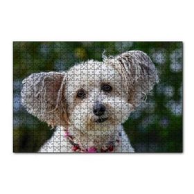 Cakapuzzle Sevimli Beyaz Terrier 120 Parça Ahşap Puzzle