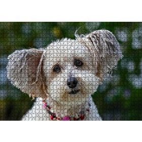 Cakapuzzle Sevimli Beyaz Terrier 120 Parça Ahşap Puzzle