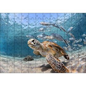 Cakapuzzle Sevimli Caretta ve Ton Balıkları Mdf 120 Parça Puzzle