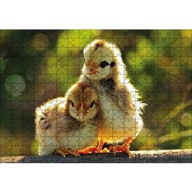 Cakapuzzle Sevimli Civcivler Ahşap 255 Parça Puzzle