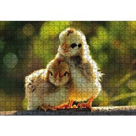 Cakapuzzle Sevimli Civcivler Ahşap 500 Parça Puzzle