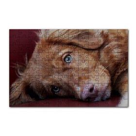Cakapuzzle Sevimli Kahverengi Köpek Yakın Çekim 120 Parça Ahşap Puzzle