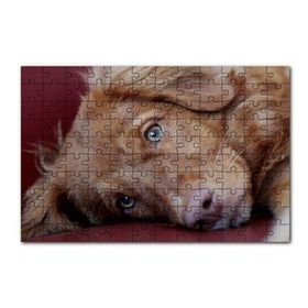 Cakapuzzle Sevimli Kahverengi Köpek Yakın Çekim 120 Parça Ahşap Puzzle