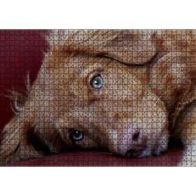 Cakapuzzle Sevimli Kahverengi Köpek Yakın Çekim 120 Parça Ahşap Puzzle