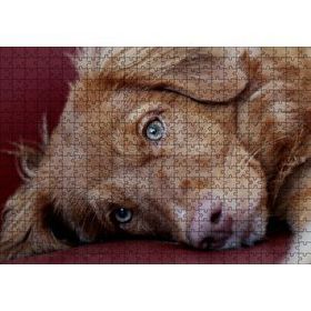 Cakapuzzle Sevimli Kahverengi Köpek Yakın Çekim 120 Parça Ahşap Puzzle