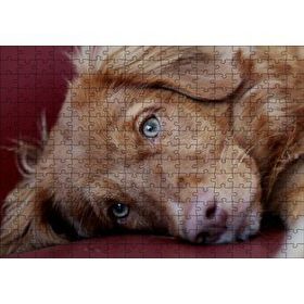 Cakapuzzle Sevimli Kahverengi Köpek Yakın Çekim 120 Parça Ahşap Puzzle