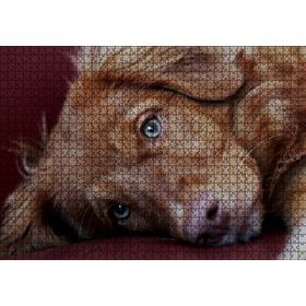 Cakapuzzle Sevimli Kahverengi Köpek Yakın Çekim 120 Parça Ahşap Puzzle
