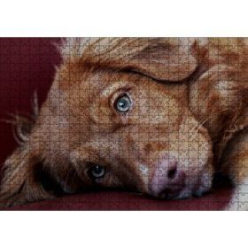 Cakapuzzle Sevimli Kahverengi Köpek Yakın Çekim 120 Parça Ahşap Puzzle
