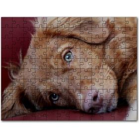 Cakapuzzle Sevimli Kahverengi Köpek Yakın Çekim 255 Parça Puzzle