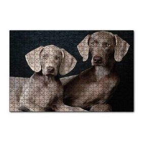 Cakapuzzle Sevimli Kahverengi Weimaranerler 120 Parça Ahşap Puzzle