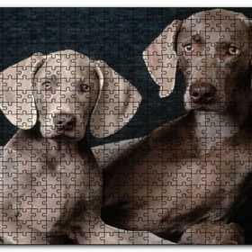 Cakapuzzle Sevimli Kahverengi Weimaranerler Mdf 1000 Parça Puzzle