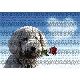 Cakapuzzle Sevimli Köpek Gül Kalp Aşk 1000 Parça Puzzle