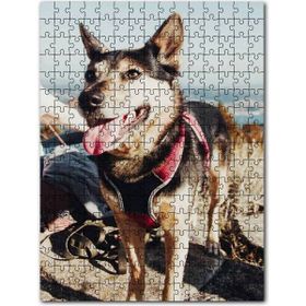 Cakapuzzle Sevimli Kurt Köpeği 1000 Parça Puzzle