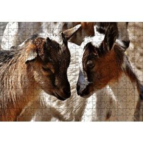 Cakapuzzle Sevimli Oğlaklar Görseli 120 Parça Ahşap Puzzle