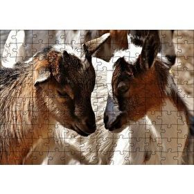Cakapuzzle Sevimli Oğlaklar Görseli 120 Parça Ahşap Puzzle