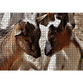 Cakapuzzle Sevimli Oğlaklar Görseli 120 Parça Ahşap Puzzle
