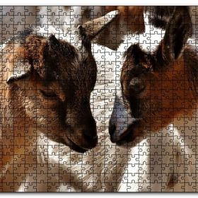 Cakapuzzle Sevimli Oğlaklar Görseli Mdf 1000 Parça Puzzle
