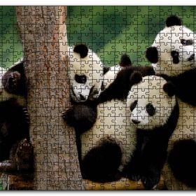 Cakapuzzle Sevimli Panda Yavruları Mdf 120 Parça Puzzle