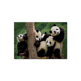Cakapuzzle Sevimli Panda Yavruları Mdf 120 Parça Puzzle
