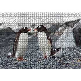 Cakapuzzle Sevimli Penguenler ve Çakıl Taşları Mdf 1000 Parça Puzzle