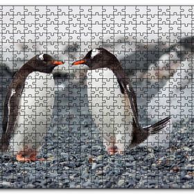 Cakapuzzle Sevimli Penguenler ve Çakıl Taşları Mdf 120 Parça Puzzle