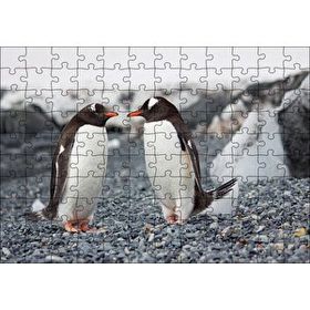 Cakapuzzle Sevimli Penguenler ve Çakıl Taşları Mdf 120 Parça Puzzle