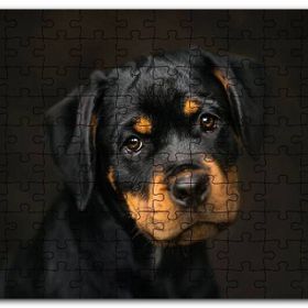 Cakapuzzle Sevimli Rottweiller Yavrusu Karanlık Arkaplan Mdf 255 Parça Puzzle