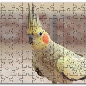 Cakapuzzle Sevimli Sarı Kakadu Papağanı Mdf 500 Parça Puzzle