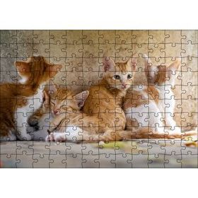Cakapuzzle Sevimli Sarman Yavruları 120 Parça Ahşap Puzzle