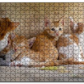 Cakapuzzle Sevimli Sarman Yavruları Mdf 120 Parça Puzzle