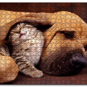 Cakapuzzle Sevimli Sharpy Köpek ve Yavru Kedi Mdf 500 Parça Puzzle