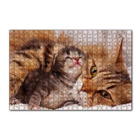 Cakapuzzle Sevimli Tekir ve Minicik Yavrusu Yakın Çekim 120 Parça Ahşap Puzzle