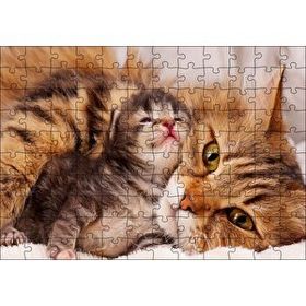 Cakapuzzle Sevimli Tekir ve Minicik Yavrusu Yakın Çekim 120 Parça Ahşap Puzzle