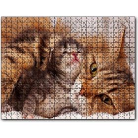 Cakapuzzle Sevimli Tekir ve Minicik Yavrusu Yakın Çekim Mdf 1000 Parça Puzzle