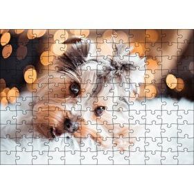 Cakapuzzle Sevimli Yorkshire Terrier 120 Parça Ahşap Puzzle
