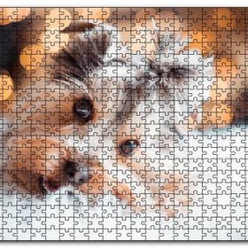 Cakapuzzle Sevimli Yorkshire Terrier Mdf 500 Parça Puzzle