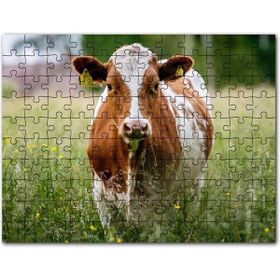 Cakapuzzle Sevimli Yunuslar Suda Oynuyor Mdf 1000 Parça Puzzle