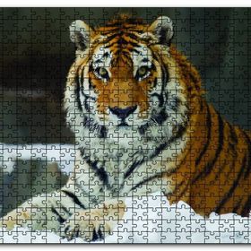 Cakapuzzle Sibirya Kaplanı Ahşap 255 Parça Puzzle